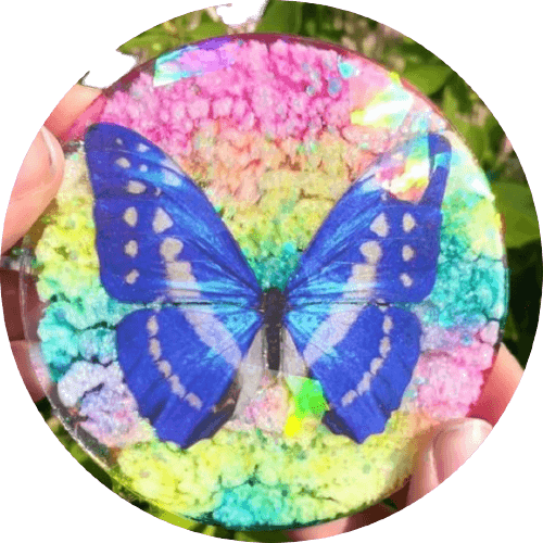 mariposa encapsulada con resina epoxi
